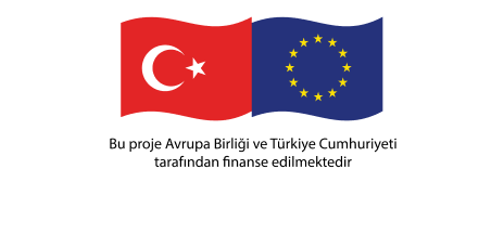 EU Logo